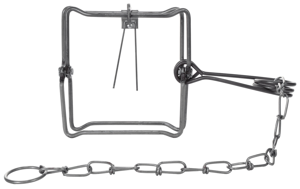 Bridger #1.5 Special Coil Spring Trap – TrapShed Supply Co.