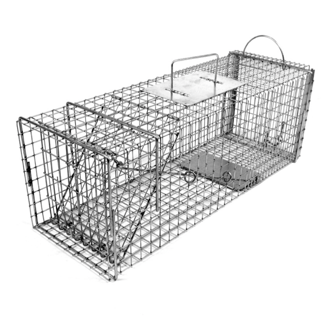 http://trapshed.com/cdn/shop/products/TomahawkModel606FeralCatRabbitLiveCageTrap-TrapShedSupplyCo._1200x1200.png?v=1676678728