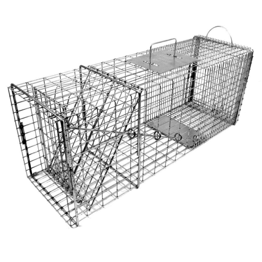 http://trapshed.com/cdn/shop/products/TomahawkModel608RaccoonLiveCageTrap-TrapShedSupplyCo._1200x1200.png?v=1676679517