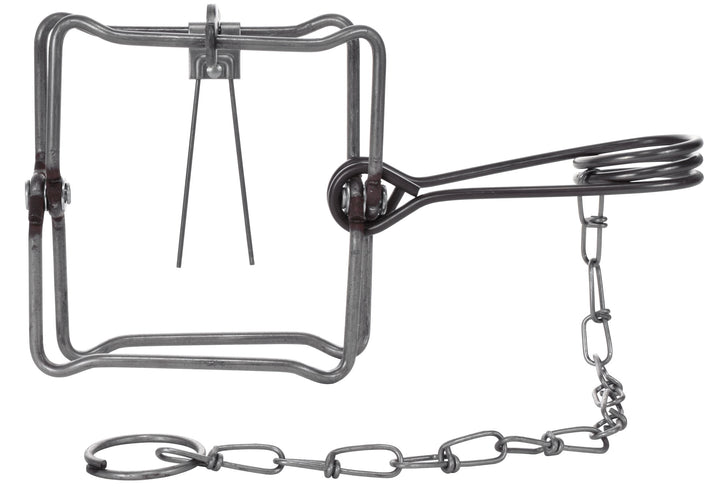 Duke Traps 10 In. Jaw Spread Steel Body Gripping Beaver, Bobcat, Coyote, &  Otter Trap - Power Townsend Company