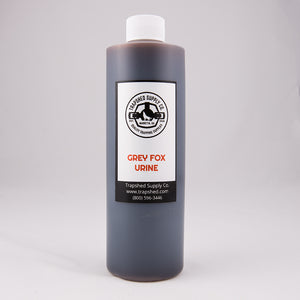 Grey Fox Trapping Urine - TrapShed Supply Co