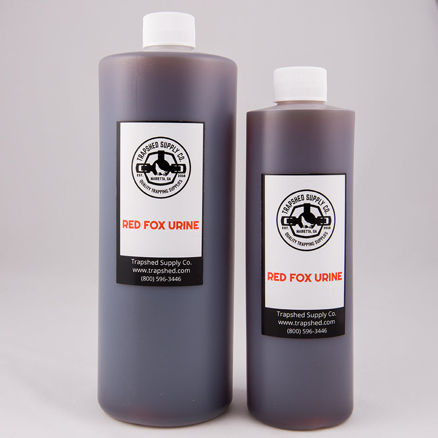 Red Fox Trapping Urine - TrapShed Supply Co.