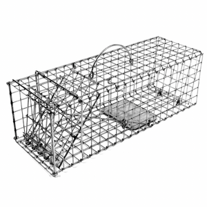 Tomahawk Model 202 Collapsible Squirrel Live Cage Trap - TrapShed Supply Co.